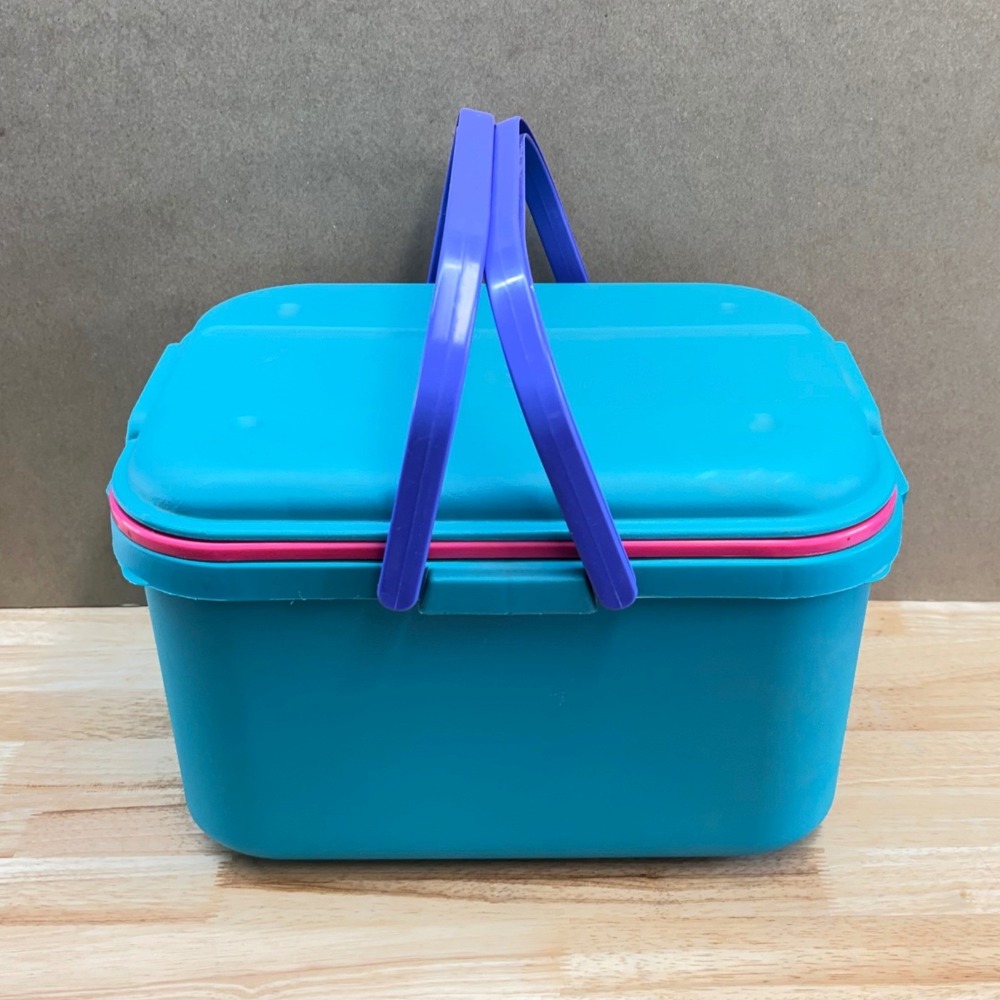 Vintage 90s Eagle Craftstor Sewing Craft Storage Tote Bin Teal Purple Pink 16"